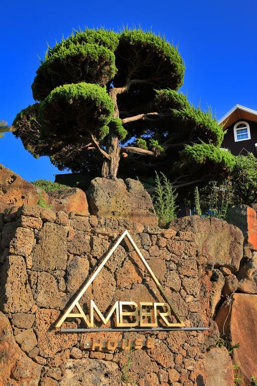 Willa Amber House Jeju Haga-ri  Zewnętrze zdjęcie